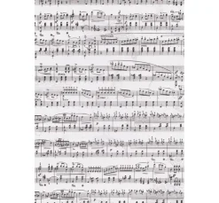 Transparentpapier "Noten"