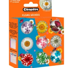 Trockenblumen Sortiment, 9 Tiegel