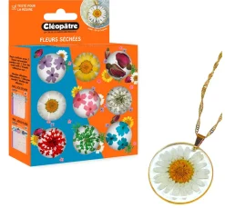 Trockenblumen Sortiment, 9 Tiegel