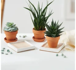 VBS Bastelklötzchen