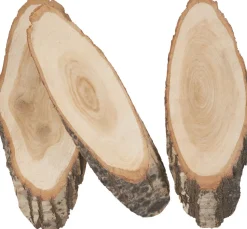 VBS Baumscheiben "Oval"