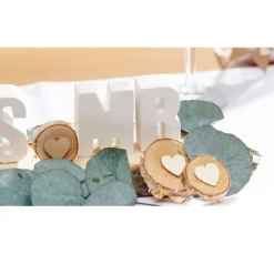 VBS Birkenscheiben, 10 Stück