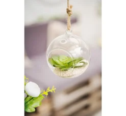 VBS Glaskugel offen, 2 Stück