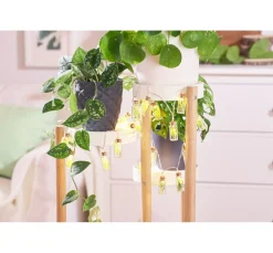 VBS Glasröhrchen mit Korken 