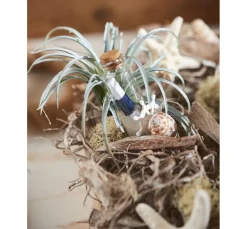 VBS Glasröhrchen mit Korken 