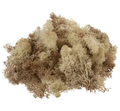 VBS Islandmoos, 100 g