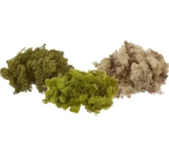 VBS Islandmoos, 100 g