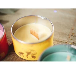 VBS Metalldosen / Seifendosen 