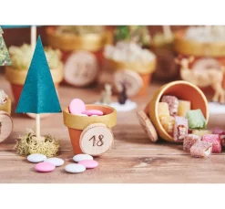 VBS Mini-Rindenscheiben 