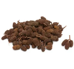 VBS Minizapfen,natur