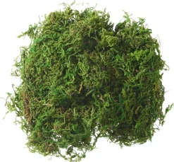 VBS Moos "Dunkelgrün"