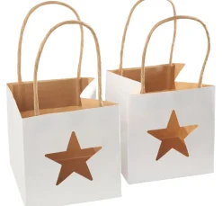 VBS Papiertüte "Stern"