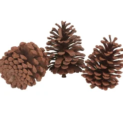 VBS Pinienzapfen, 3 Stück