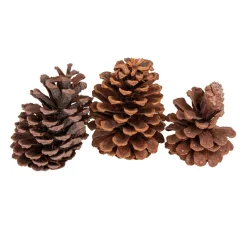 VBS Pinienzapfen, 3 Stück