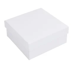 VBS Quadratschachtel