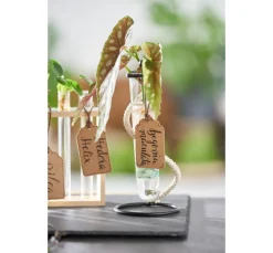 VBS Reagenzglashalter "Vase"