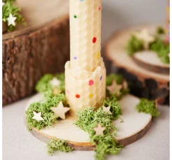 VBS Rindenscheiben "Rund"