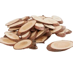 VBS Rindenscheiben-Mix "Oval"