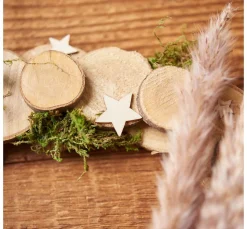 VBS Rindenscheiben-Mix