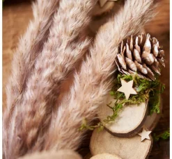 VBS Rindenscheiben-Mix