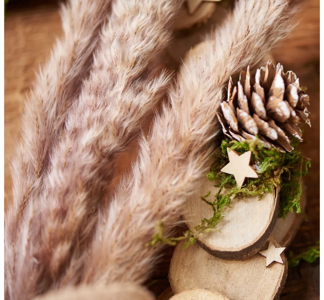 VBS Rindenscheiben-Mix "Rund"