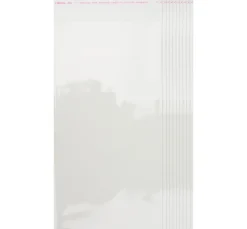 VBS Schutzhüllen für Karten "22,7 x 11,6 cm", 100 Stück