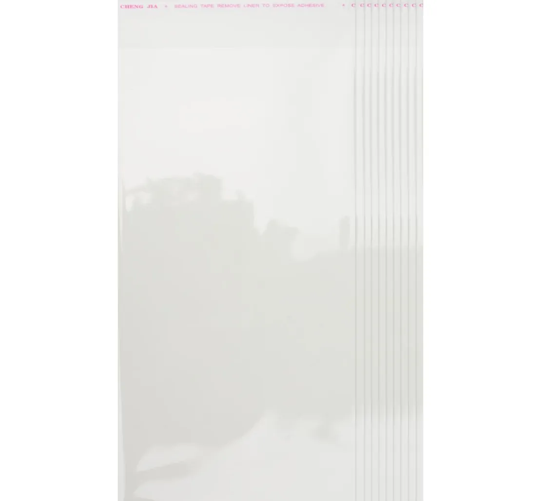 VBS Schutzhüllen für Karten "22,7 x 11,6 cm", 100 Stück