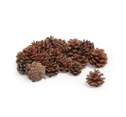 VBS Tannenzapfen, 250 g