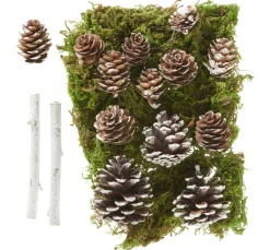 VBS Wald Potpourri-Mix