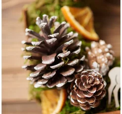 VBS Wald Potpourri-Mix