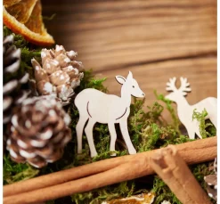 VBS Wald Potpourri-Mix