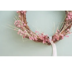 VBS Weinreben Kranz, Natur