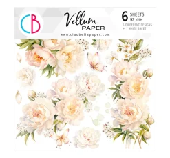 Vellum Paper "Always & Forever"