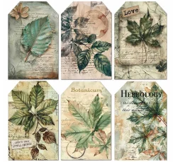 Vellum Paper "Cabinet of Curiosities"