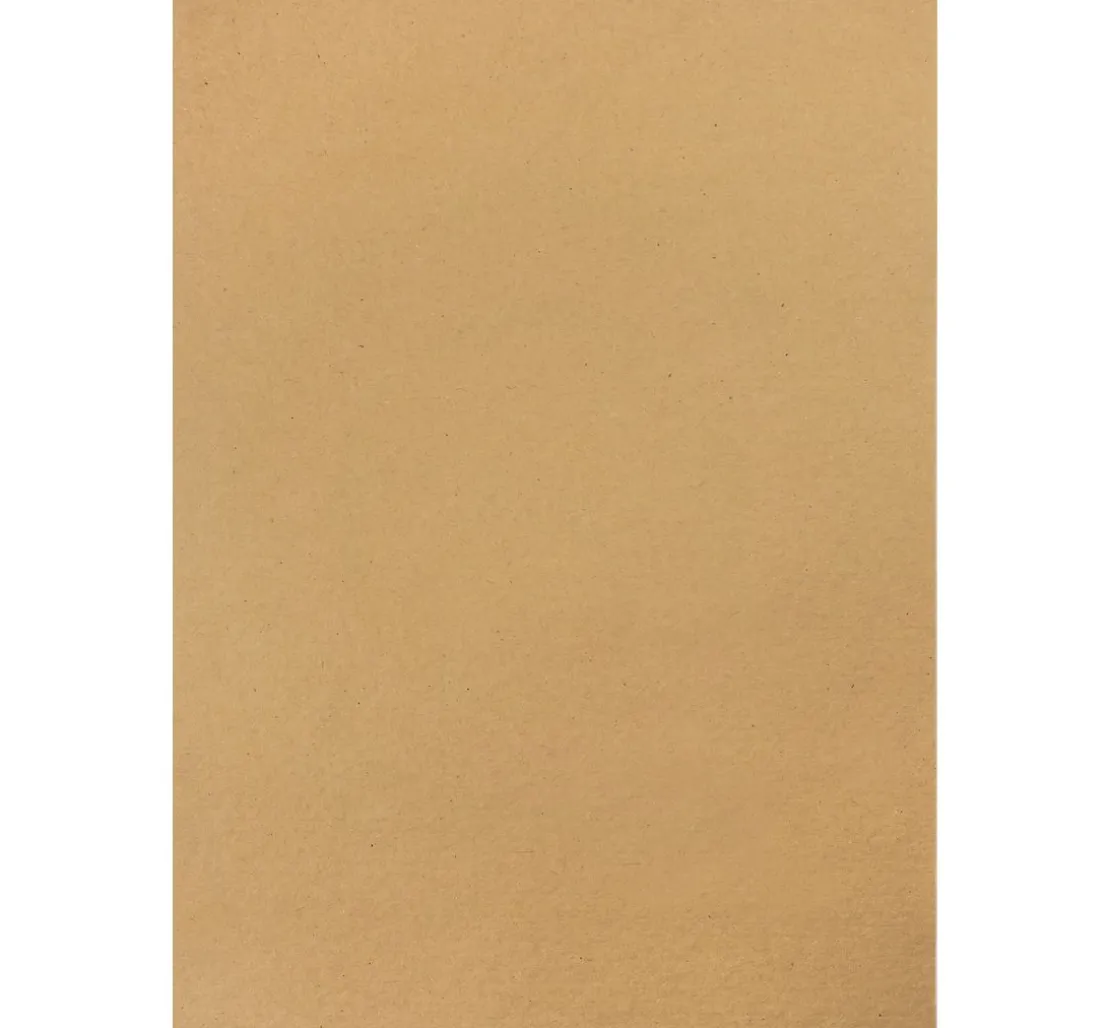 Vintage-Fotokarton "Palmenwedel"