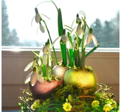 Viva Decor Maya Stardust