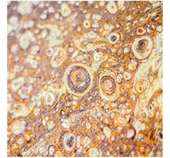 Viva Decor Pouring Medium Fluid