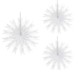 Wabenpapier-Eiskristalle