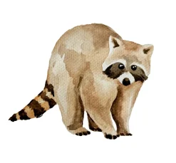 Watercolor - Die wunderbare Kreativbox. Mit Anleitungsbuch und Material