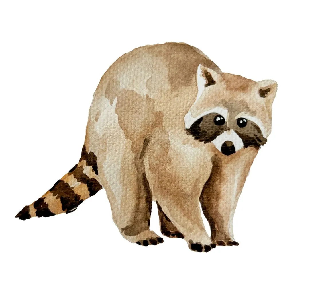 Watercolor - Die wunderbare Kreativbox. Mit Anleitungsbuch und Material