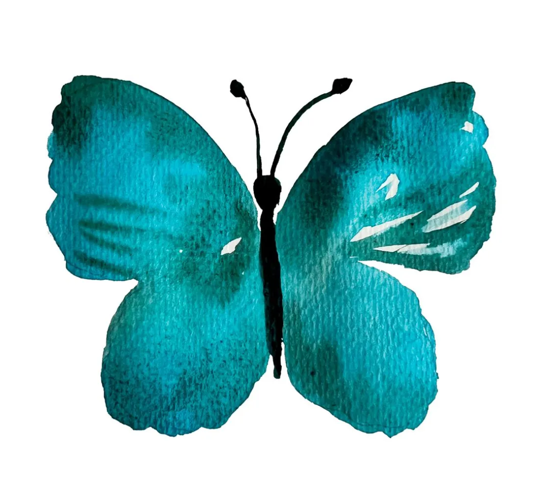 Watercolor - Die wunderbare Kreativbox. Mit Anleitungsbuch und Material