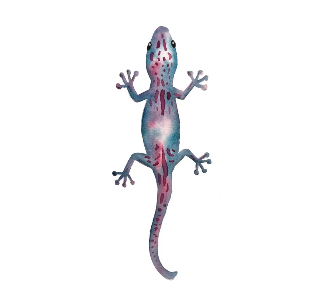 Watercolor - Die wunderbare Kreativbox. Mit Anleitungsbuch und Material