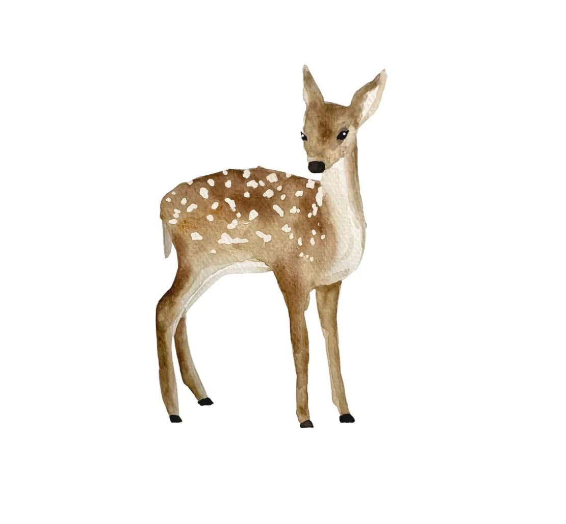 Watercolor - Die wunderbare Kreativbox. Mit Anleitungsbuch und Material