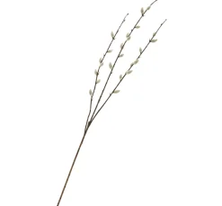 Weidenkätzchen-Zweig "Cream"