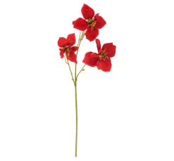 Weihnachtsstern Zweig "Wena"