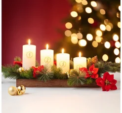 Weihnachtsstern Zweig "Wena"