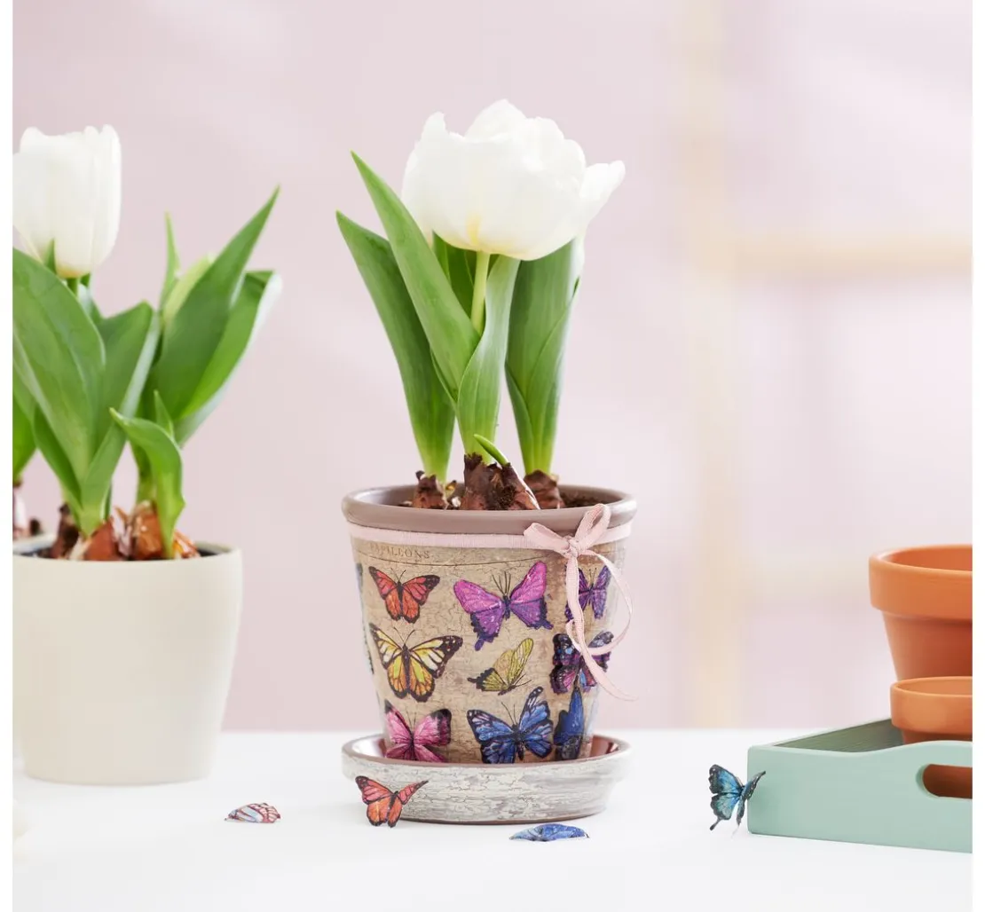 Wetterschutz-Imprägnierung