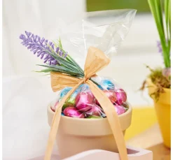 Zellglas-Beutel, 25 Stück